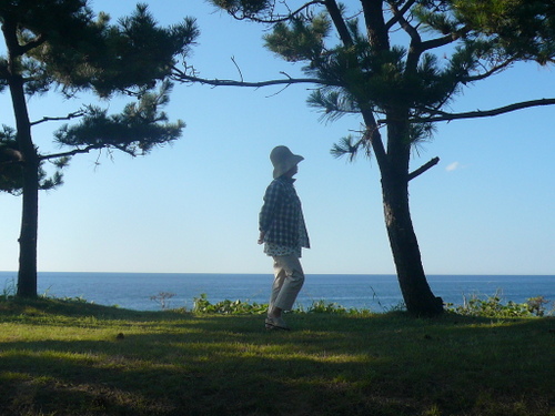 f:id:shigesan-1943:20120821163917j:image