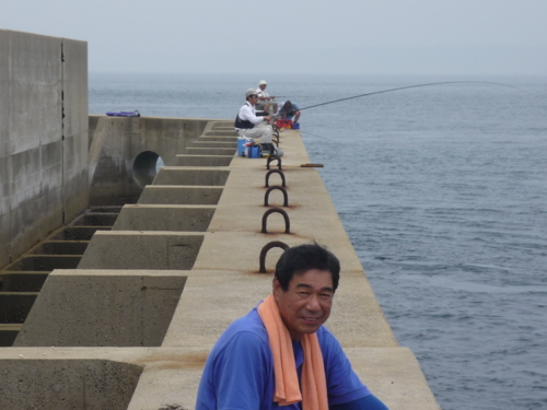 馬渡島 まだらしま つぐちゃん日記