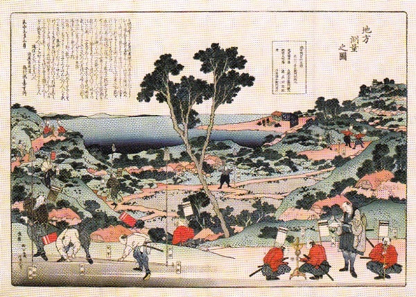 葛飾北斎「地方測量之図」と我が庭の花々 - しげよあゆみの日記