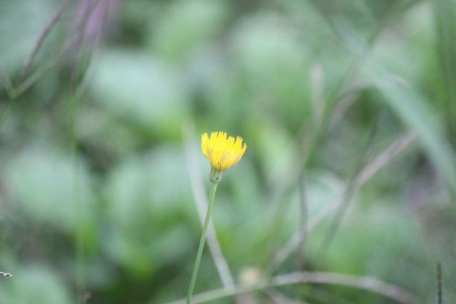 f:id:shigo45:20160209083750j:plain
