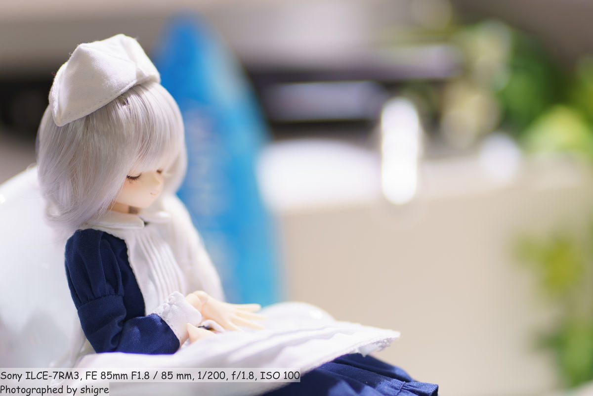f:id:shigre700:20190707144350j:plain