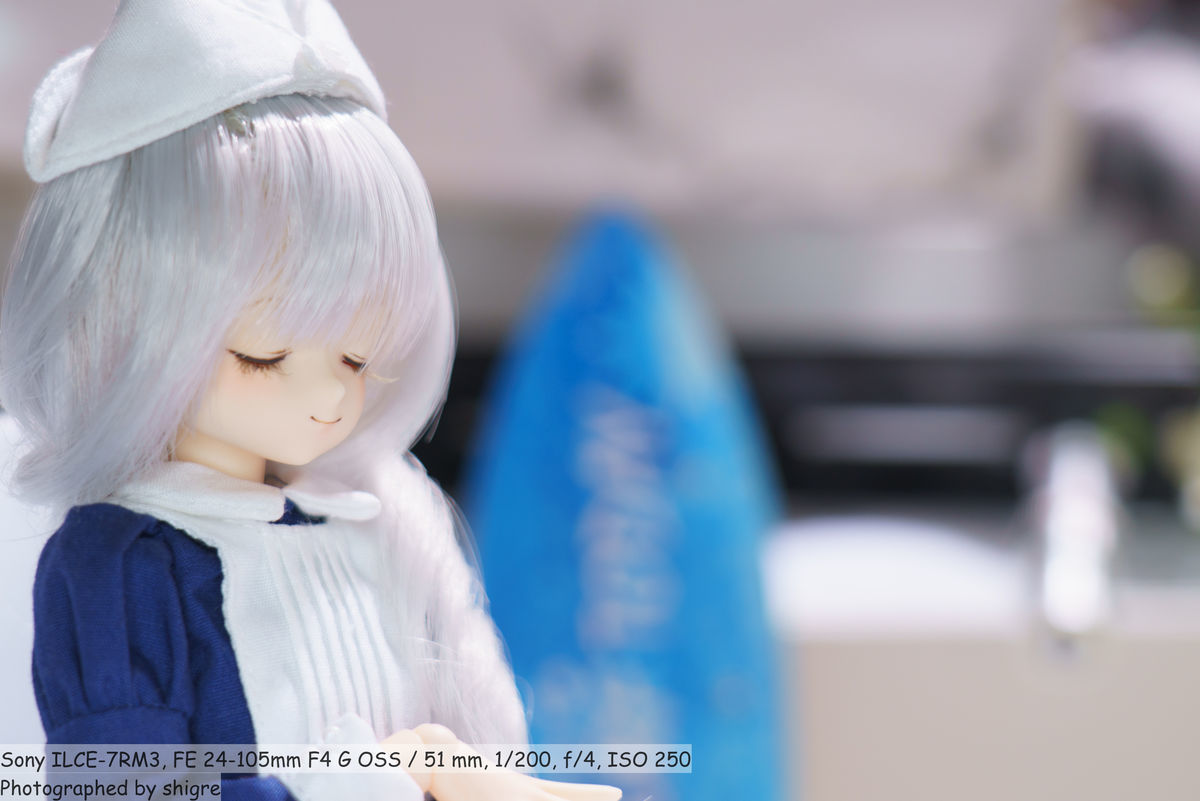 f:id:shigre700:20190707144701j:plain