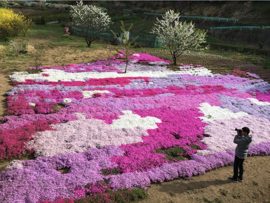 f:id:shiguregaki:20170507192037j:plain f:id:shiguregaki:20170507192037j:plain