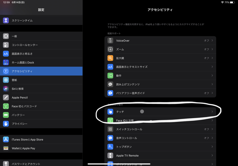 f:id:shihax:20200614130352j:plain f:id:shihax:20200614130352j:plain