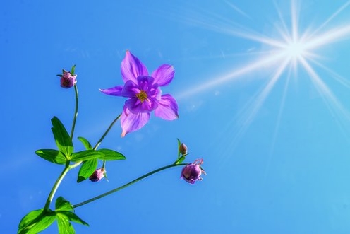 f:id:shiho196123:20181128213411j:plain f:id:shiho196123:20181128213411j:plain