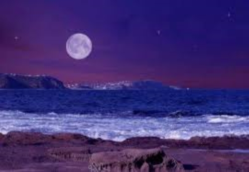f:id:shiho196123:20181216035646j:plain f:id:shiho196123:20181216035646j:plain