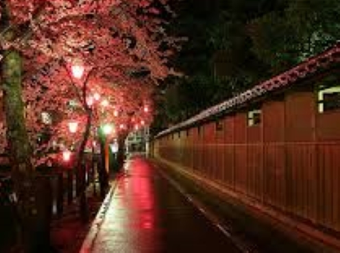 f:id:shiho196123:20181216040014j:plain f:id:shiho196123:20181216040014j:plain