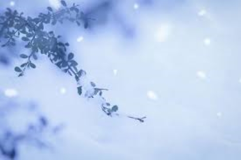 f:id:shiho196123:20190103204051j:plain