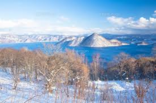 f:id:shiho196123:20190110203130j:plain