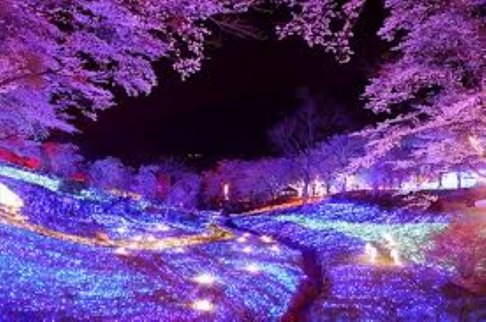f:id:shiho196123:20190121170839j:plain