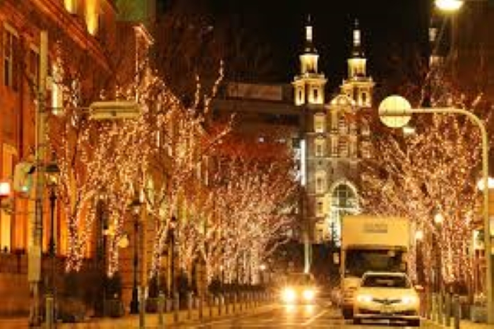 f:id:shiho196123:20190207122321j:plain