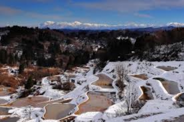 f:id:shiho196123:20190207170607j:plain