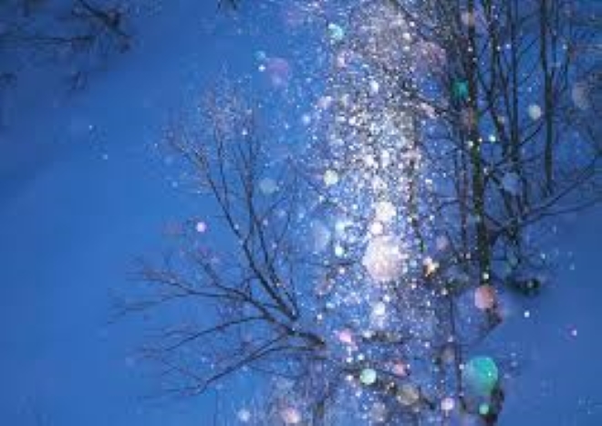 f:id:shiho196123:20190207170857j:plain