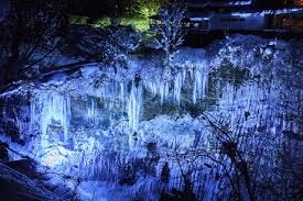 f:id:shiho196123:20190219174537j:plain