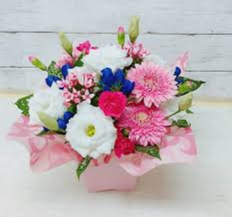 f:id:shiho196123:20190319153139j:plain f:id:shiho196123:20190319153139j:plain