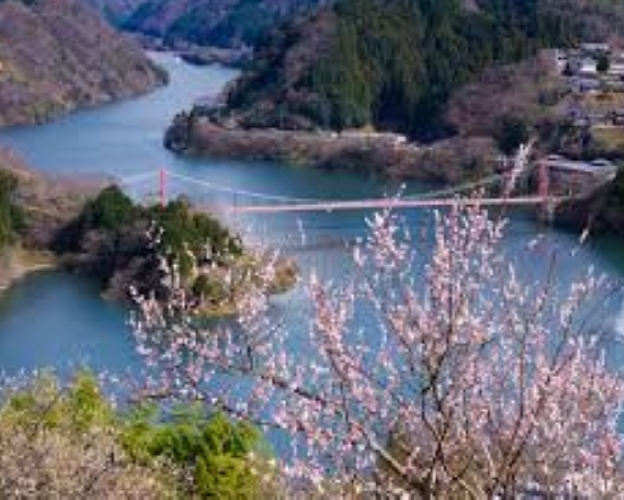 f:id:shiho196123:20190321232333j:plain