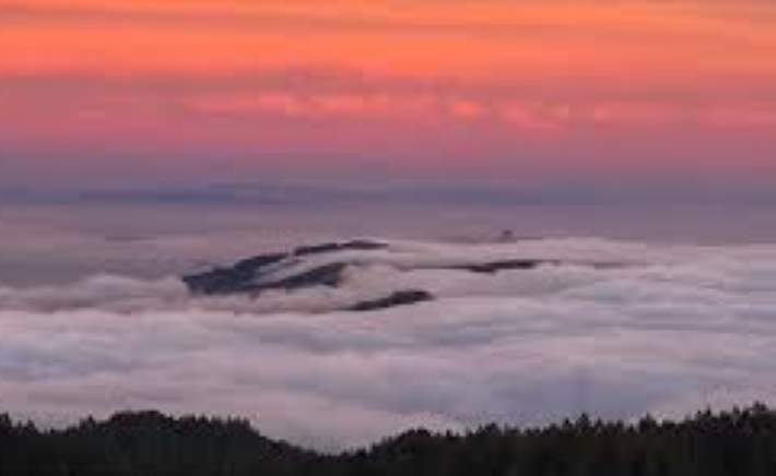 f:id:shiho196123:20190407165556j:plain f:id:shiho196123:20190407165556j:plain