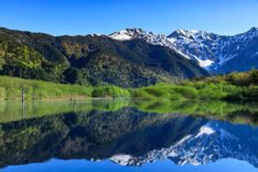 f:id:shiho196123:20190409165402j:plain