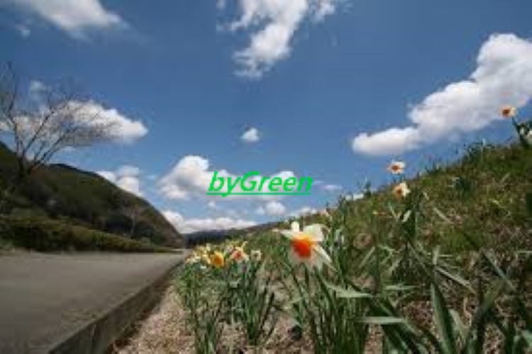 f:id:shiho196123:20190413182916j:plain f:id:shiho196123:20190413182916j:plain