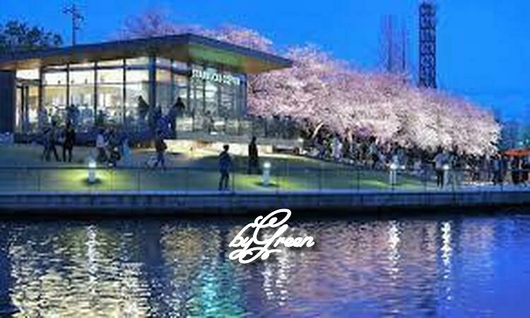 f:id:shiho196123:20190417164536j:plain