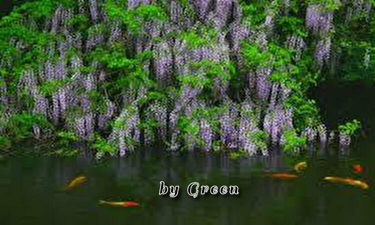 f:id:shiho196123:20190430211338j:plain