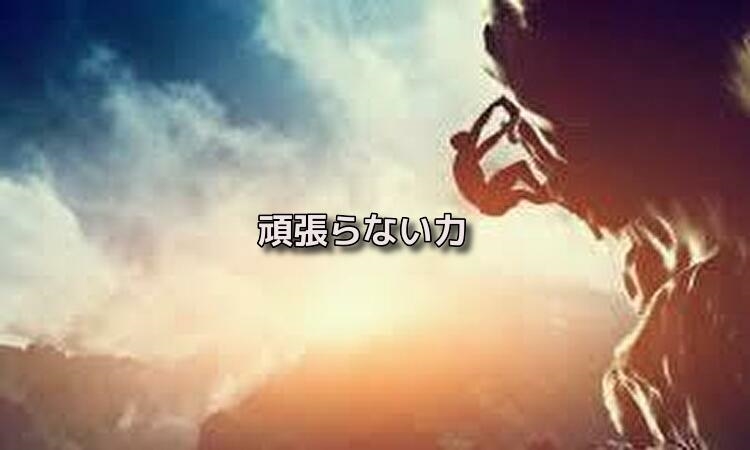 f:id:shiho196123:20190508020852j:plain f:id:shiho196123:20190508020852j:plain