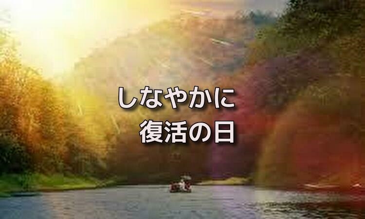 f:id:shiho196123:20190514090208j:plain