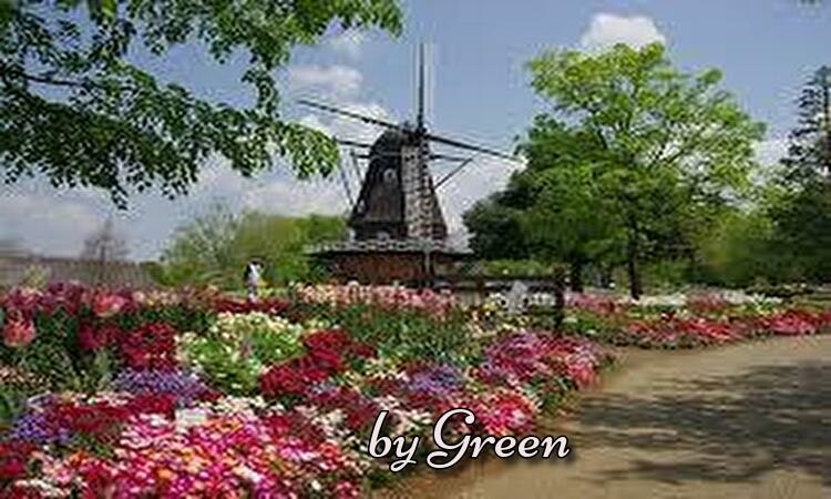 f:id:shiho196123:20190520221847j:plain