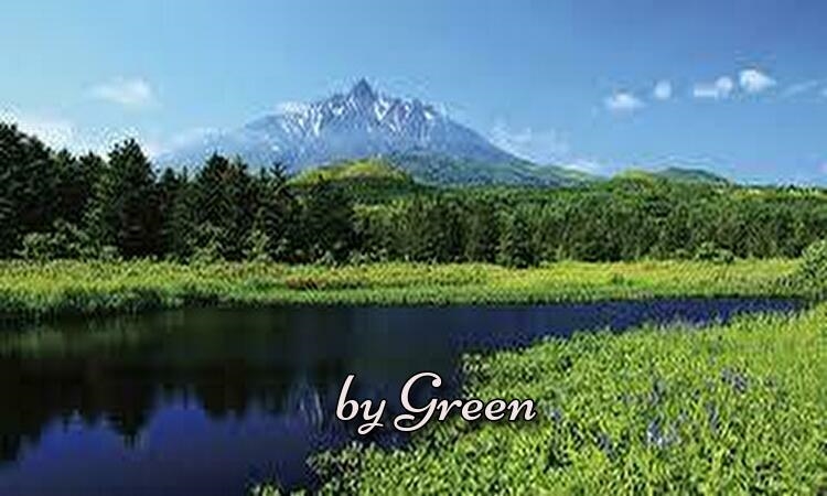 f:id:shiho196123:20190520222212j:plain
