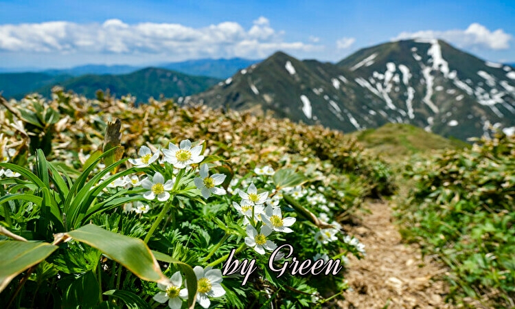 f:id:shiho196123:20190522230914j:plain f:id:shiho196123:20190522230914j:plain