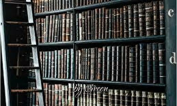 f:id:shiho196123:20190523133124j:plain f:id:shiho196123:20190523133124j:plain