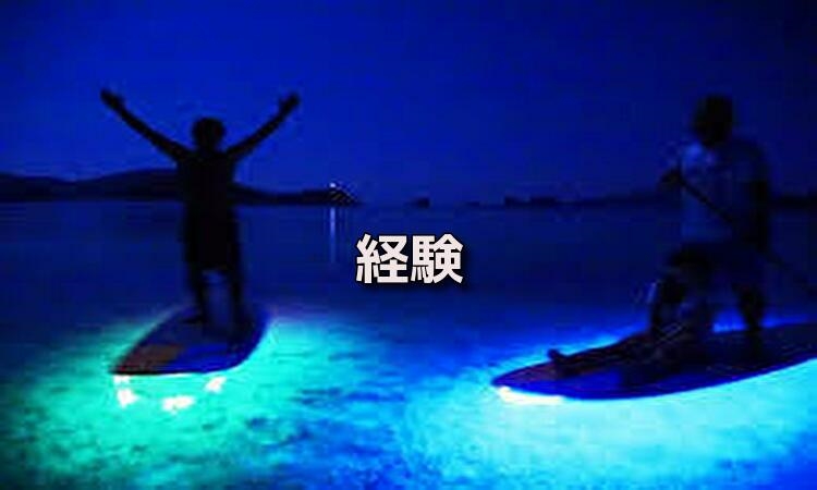 f:id:shiho196123:20190527163043j:plain f:id:shiho196123:20190527163043j:plain
