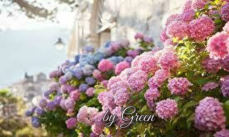 f:id:shiho196123:20190610234352j:plain f:id:shiho196123:20190610234352j:plain