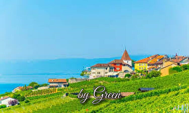 f:id:shiho196123:20190610234438j:plain f:id:shiho196123:20190610234438j:plain