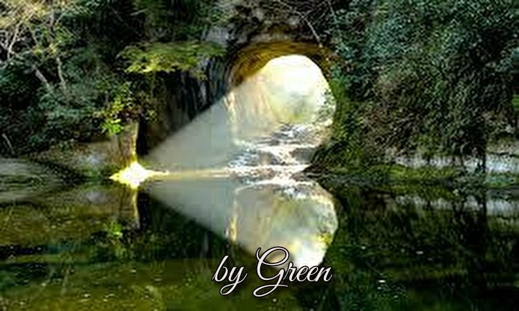 f:id:shiho196123:20190610234522j:plain f:id:shiho196123:20190610234522j:plain