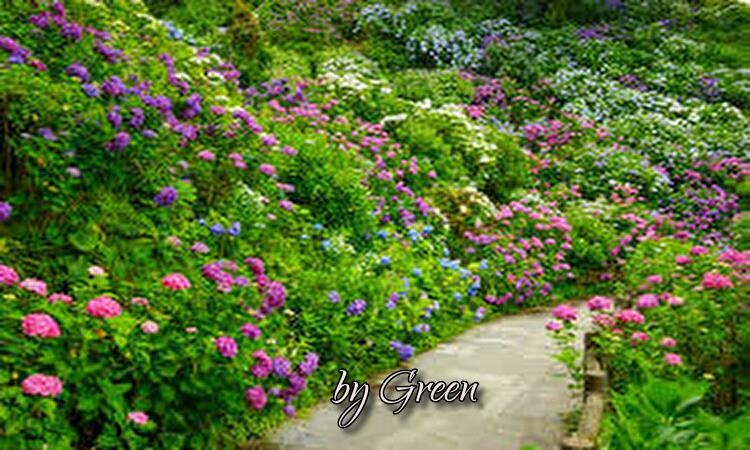 f:id:shiho196123:20190612234639j:plain