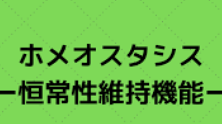 f:id:shiho196123:20190614172443p:plain