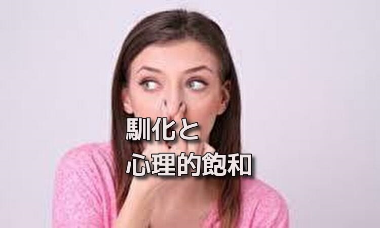 f:id:shiho196123:20190614173005j:plain