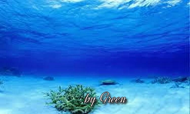 f:id:shiho196123:20190615215712j:plain f:id:shiho196123:20190615215712j:plain