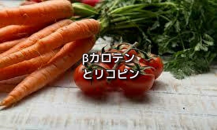 f:id:shiho196123:20190618113517j:plain f:id:shiho196123:20190618113517j:plain