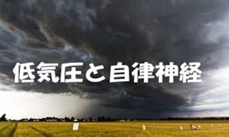 f:id:shiho196123:20190619154707j:plain