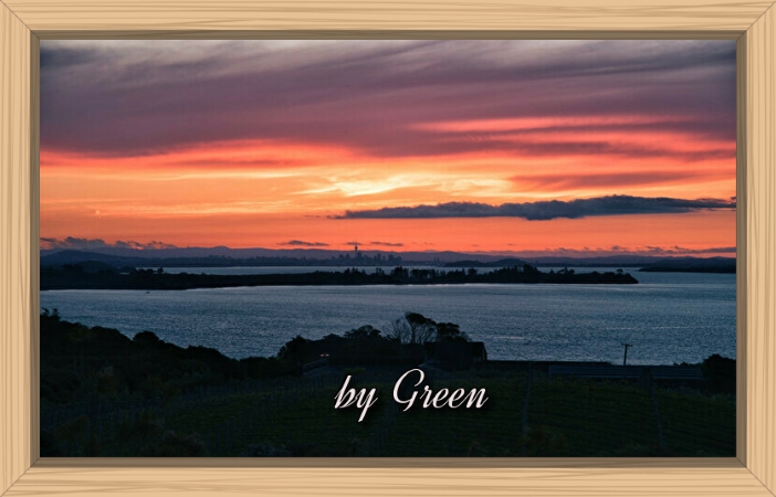 f:id:shiho196123:20190620193042j:plain