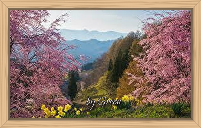 f:id:shiho196123:20190622185901j:plain