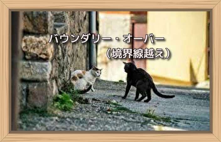 f:id:shiho196123:20190623155909j:plain f:id:shiho196123:20190623155909j:plain