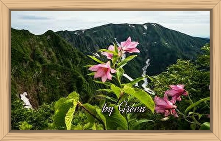 f:id:shiho196123:20190623191020j:plain