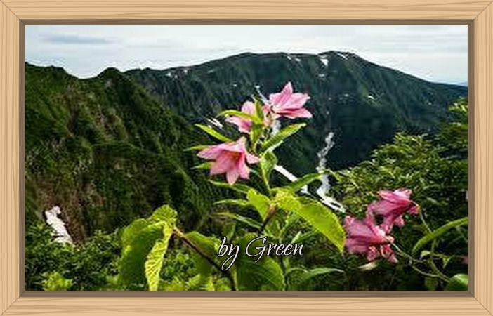 f:id:shiho196123:20190624192055j:plain f:id:shiho196123:20190624192055j:plain