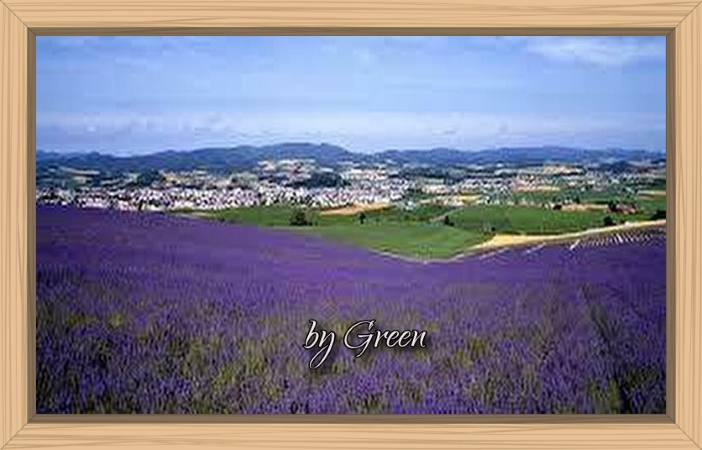 f:id:shiho196123:20190624192434j:plain f:id:shiho196123:20190624192434j:plain