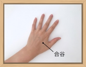 f:id:shiho196123:20190625134040j:plain