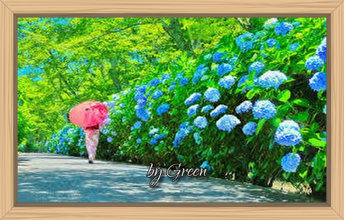 f:id:shiho196123:20190630192753j:plain