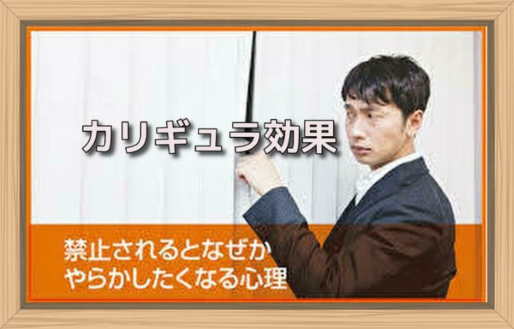 f:id:shiho196123:20190704161610j:plain f:id:shiho196123:20190704161610j:plain